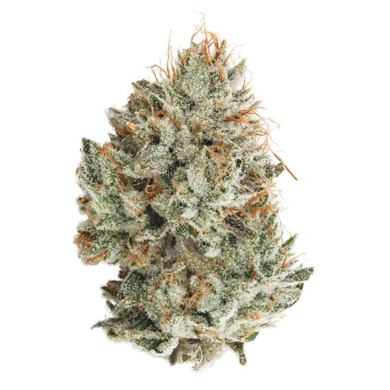 Buy Gorilla Glue #4 Online