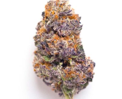 Buy Granddady Purple Online