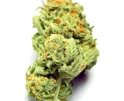 Buy Tahoe Og Online in Pounds