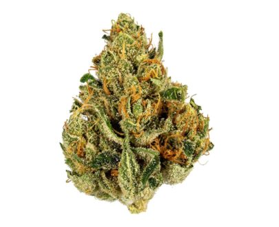 Buy Golden Goat Weed Strain Online