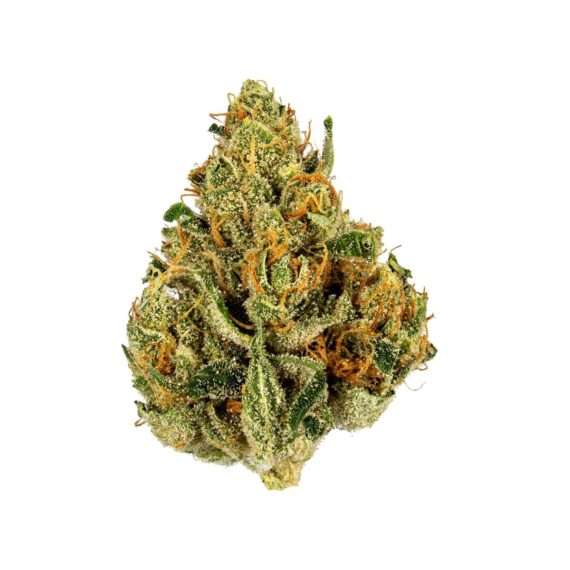 Buy Golden Goat Weed Strain Online