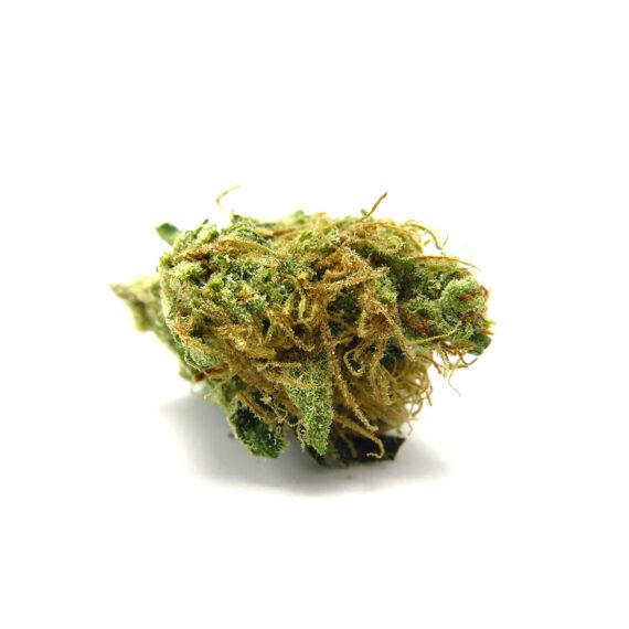 Buy a Pound of Golden Goat Cannabis Online