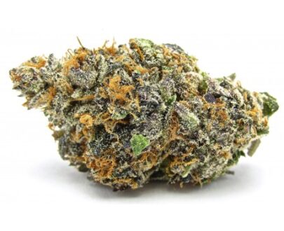 Buy SunShine Sherbert Weed Strain Online