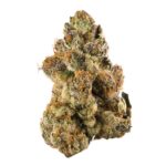 Wholesael Sunshine sherbert strains for sale