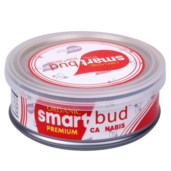 Wholesale Smart Buds for Sale