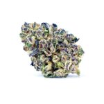 Buy High Quality Purple Punch Weed Online