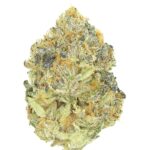 Buy Gelato 33 Pounds Online