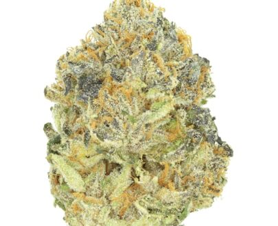 Buy Gelato 33 Pounds Online